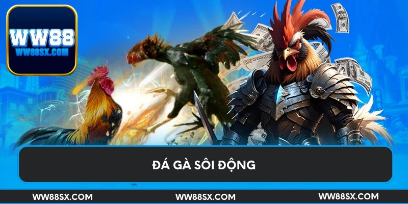 Đá gà sôi động