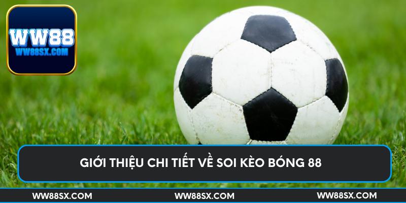 Giới thiệu chi tiết về soi kèo bóng 88 